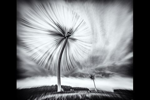 The Turbo Dandelion Wind Farm by Derek Snee